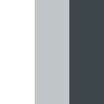 White / Silver / Convoy Grey